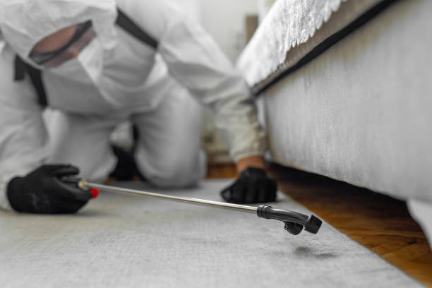 Professional Bed Bug Control technician working in Grand Forks, ND