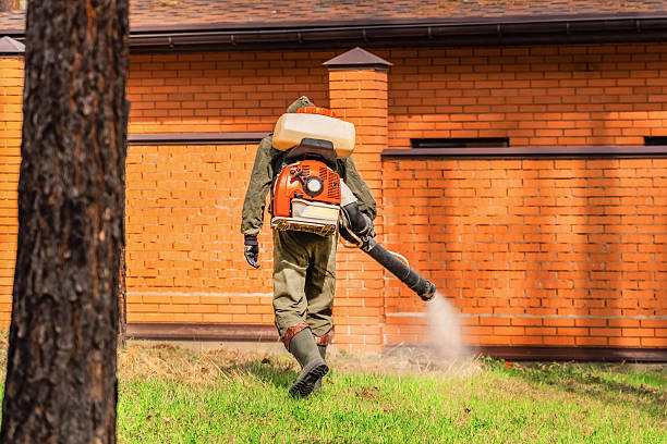Trusted Bed Bug Control service in Grand Forks, ND - Nex Pest Control